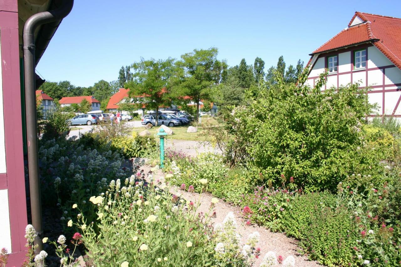 Haus Benny Lägenhet Dranske Exteriör bild